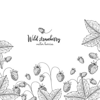 Resimde yaban çileği ile oyma. Çilek ile detaylı çerçeve. Davetiye, tebrik kartları, ambalaj kağıdı, ambalaj, etiket, Etiketler, afiş vb kozmetik için çizilmiş öğeleri el.