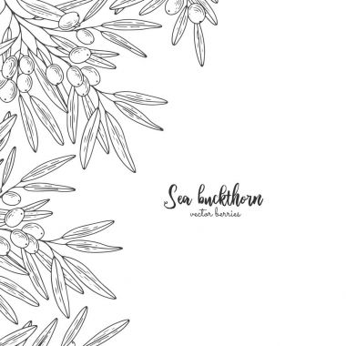 El deniz topalak kümesiyle çekilmiş. Sağlık ve güzellik doğal ürünleri paket için tasarlayın. Çilek ile detaylı çerçeve. Menü, promosyon, ambalaj kağıdı, kozmetik ambalaj için geçerli.