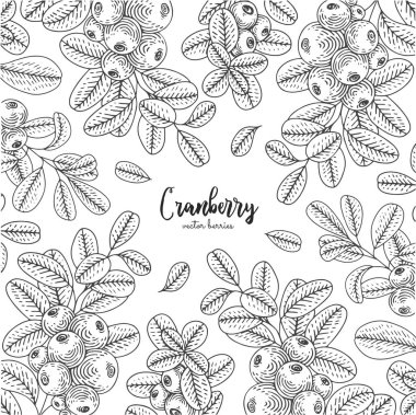 El set cranberries ile çekilmiş. Sağlık ve güzellik doğal ürünleri paket için tasarlayın. Çilek ile detaylı çerçeve. Menü, promosyon, ambalaj kağıdı, kozmetik ambalaj için geçerli.