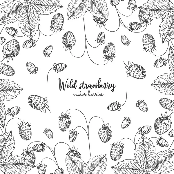 Hand drawn illustration of wild strawberry isolated on white background. Berries engraved style illustration. Detailed frame with berries. Applicable for menu, flyer, label, poster, print, packaging. — Stock Vector