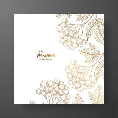 Altın kartı şablonu için davetiye, tebrik kartları, kartpostallar, ambalaj tasarımı veya vintage bir proje tamamlayacak bir olduğu gibi. Metin için yer. Vintage altın kartopu gösteren resim oyma botanik.