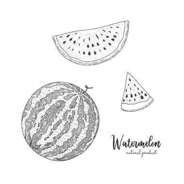 Hand drawn illustration of watermelon isolated on white background. Engraved style illustration. Detailed vegetarian food. Applicable for menu, flyer, label, poster, print, packaging. clipart