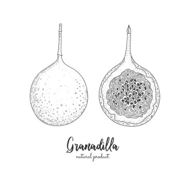 Beyaz arka plan üzerinde izole granadilla elle çizilmiş Illustration. Oyulmuş sanat. Tropikal vejetaryen nesneler. Restoran, menü, güler yüzlü kase, market, mağaza, parti dekorasyon, yemek için kullanın