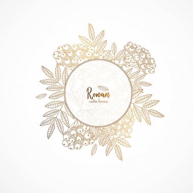 Rowan ile altın vintage illüstrasyon. Oyulmuş tarzı. Çilek ile sağlıklı gıda tasarım şablonu. Menü, promosyon, reklam, tebrik kartları, kozmetik ambalaj için altın şablon tasarım.