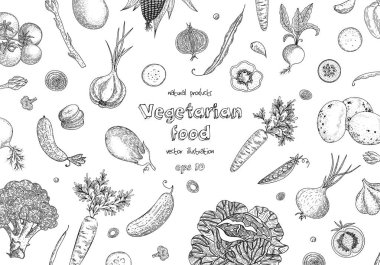 Organik gıda tasarım şablonu. Taze sebze. El çizilen illüstrasyon kare sebze ile. Eco organik gıda. Etiket için büyük tasarım menü, yemek tarifleri, poster, tasarım, kağıt ambalaj.