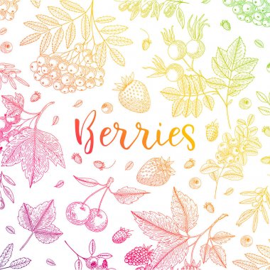 Çilek ile renkli vektör arka plan. Sağlıklı gıda tasarım şablonu bluberry, kiraz, ahududu, çilek ve etc. Etiket için büyük tasarım menü, yemek tarifleri, poster, ambalaj tasarımı.