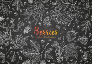 Vektör çizim çerçeveyle Frenk üzümü, kızılcık, bluberry, kiraz, ahududu, çilek ve etc. Kara tahta üzerinde çilek ile sağlıklı gıda tasarım şablonu. Büyük tasarım menü, yemek tarifleri, afiş için.