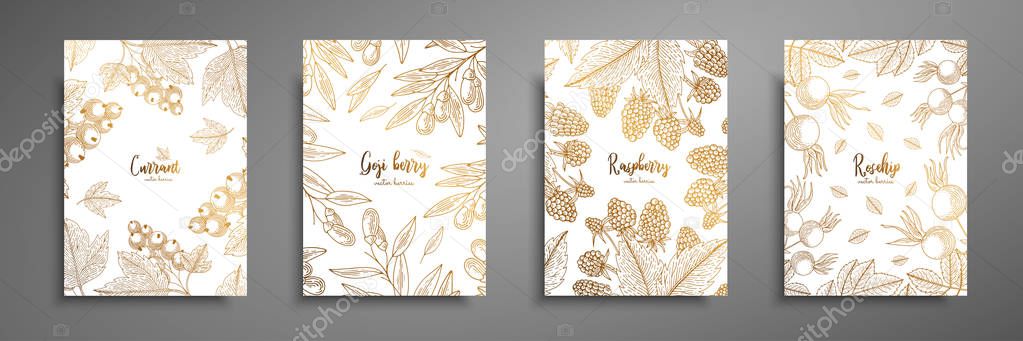 Gold collection of cards design with berries. Vintage gold frame with ripe berries illustrations - currant, goji berries, raspberry, rosehip. Great design for natural and organic products.