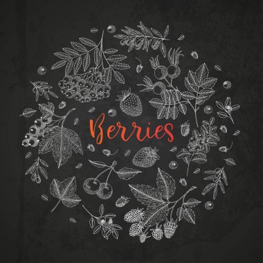 Berry vektör daireyle Frenk üzümü, kızılcık, bluberry, kiraz, ahududu, çilek ve etc. Kara tahta üzerinde çilek ile sağlıklı gıda tasarım şablonu. Büyük tasarım menü, yemek tarifleri, afiş için.