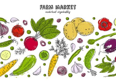 Organik gıda tasarım şablonu. Taze sebze. Çizim ayrıntılı Vejetaryen yiyecekler. Çiftlik market ürün. Etiket için büyük tasarım menü, yemek tarifleri, poster, tasarım, kağıt ambalaj.