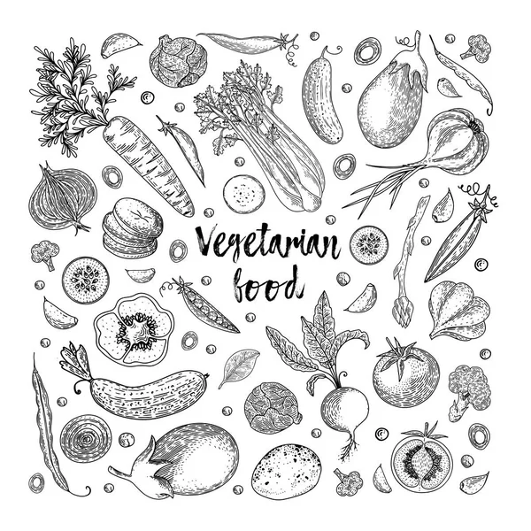 Vegetáriánus ételek. Növényi kézzel rajzolt vintage vektoros illusztráció. Mezőgazdasági piaci poszter. Egészséges élet. Vektor összetétele friss zöldségek. Részletes élelmiszer rajz. Nagy menü, banner, szórólap. — Stock Vector