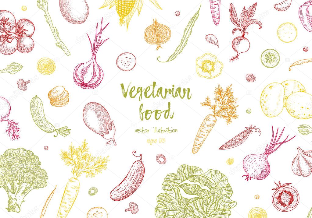 Organic food design template. Fresh colorful vegetables. Detailed vegetarian food drawing. Farm market product. Great for label, design menu, recipes, poster, packaging design, wrapping paper.