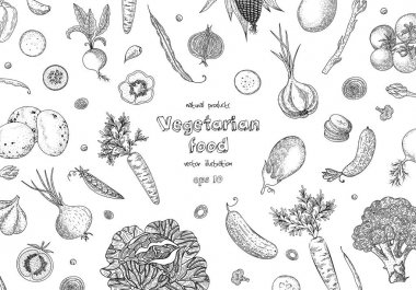 Organik sebze gıda afiş. Sağlıklı gıda. Oyma kroki vintage tarzı. Vejetaryen yiyecekler tasarım menü, yemek tarifleri, dekorasyon mutfak öğeleri için. Büyük etiket, poster, ambalaj tasarımı için.