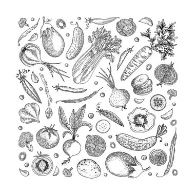 Çiftçiler menü tasarım şablonu Pazar. Vintage elle çizilmiş kroki vektör çizim. Doğrusal grafik. Oyulmuş tarzı. Kağıt, el ilanı, afiş, Dükkanı, menü, kafe, Restoran sarma için kullanılabilir.