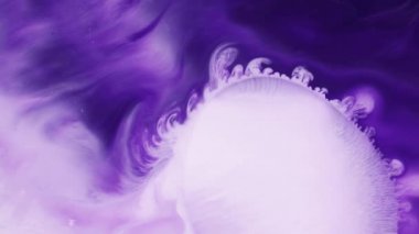Beyaz ve mor boya soyut arkaplan görüntülerini karıştırıyor