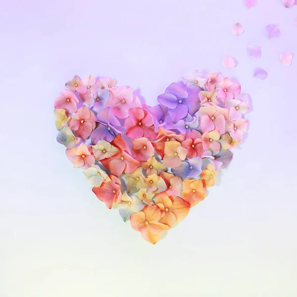 Heart shape made of flowers. Love composition with colorful hydrangea blossom. Beautiful backdrop with blue and yellow pastel colors. Florets backgrond for love story. Valentines day symbol.