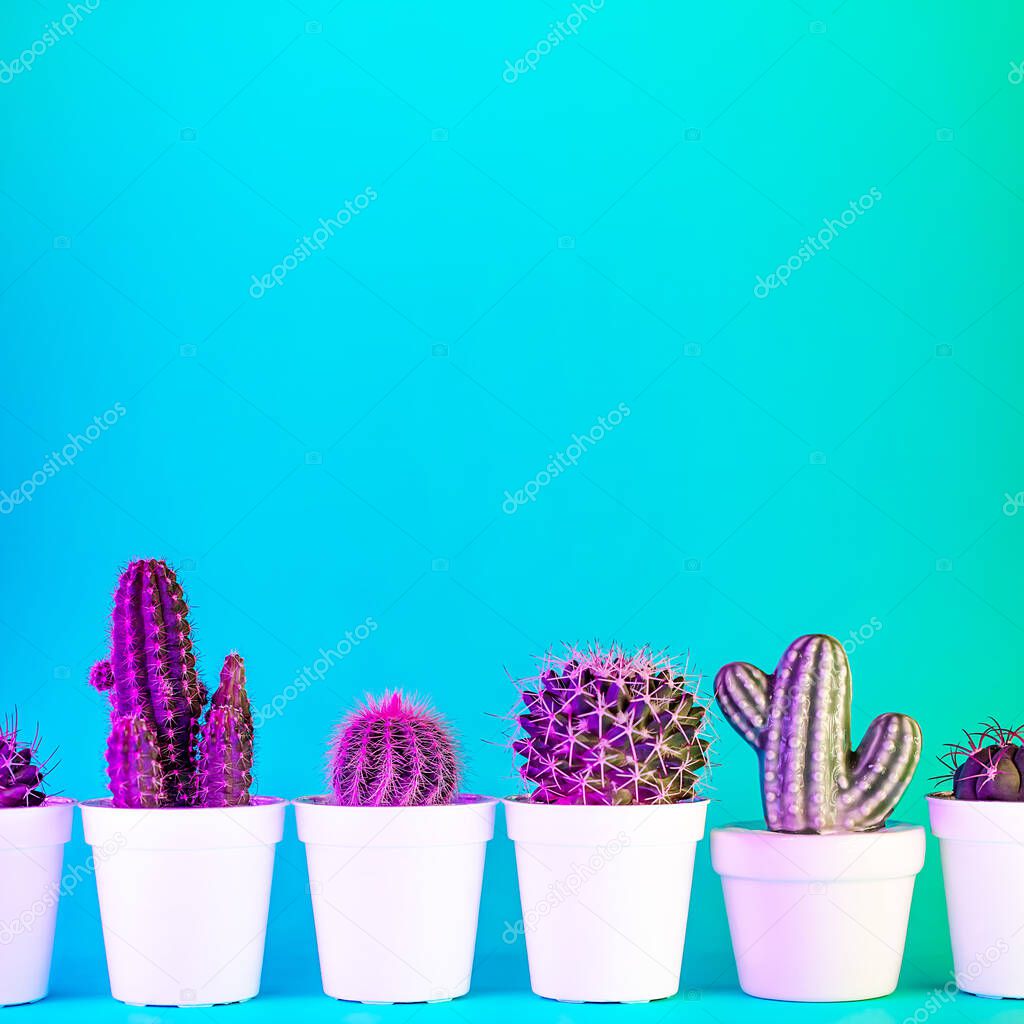 Creative neon background with cactus. Multicolor abstract backdrop with vibrant gradients. Exotic plants with green, pink and blue vivid colors. Thorns with beautiful illumination.