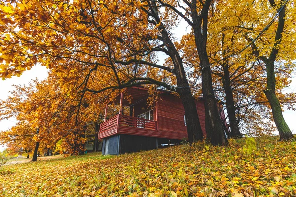 Wooden cottage in autumn forest
