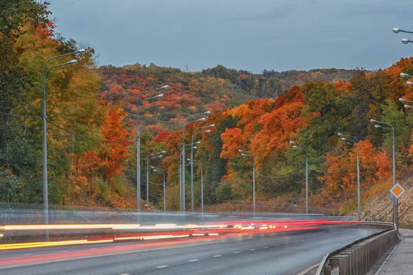Highway in the evening in October, cars headlights on, lanterns and trees along the highway.