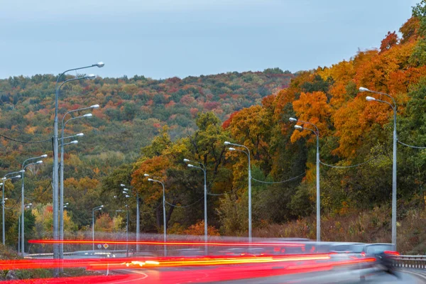 Highway in the evening in October, cars headlights on, lanterns and trees along the highway.