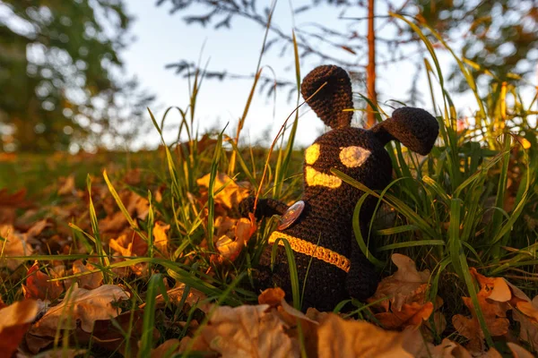 Handmade black crocheted toy walks on brick pathway, observes the street in autumn.