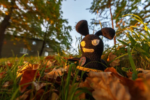 Handmade black crocheted toy walks on brick pathway, observes the street in autumn.