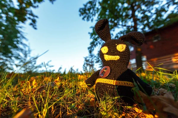 Handmade black crocheted toy walks on brick pathway, observes the street in autumn.