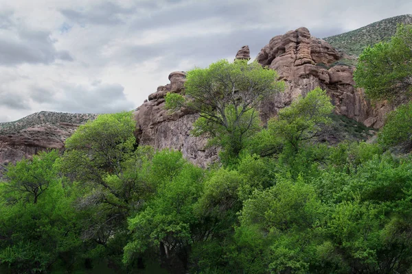 A rock with soft edges emerges from the mountain and forms bizarre figures, the peaks of the mountains are covered with grass, trees grow densely around the mountain, covering the rock; the sky is overcast with clouds and clouds.