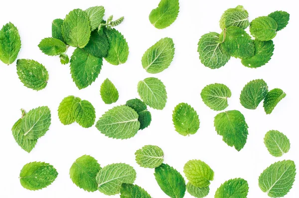 Beyaz arkaplanda nane yaprakları 