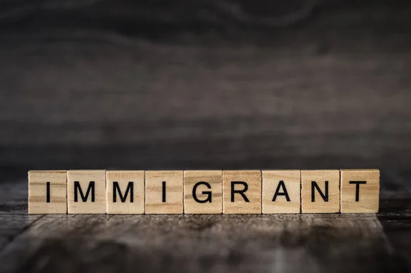 the word immigrant is made of bright wood cubes with black letters on a dark wooden background