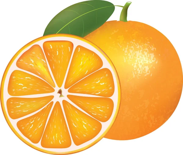 Naranja entera y la mitad — Vector de stock