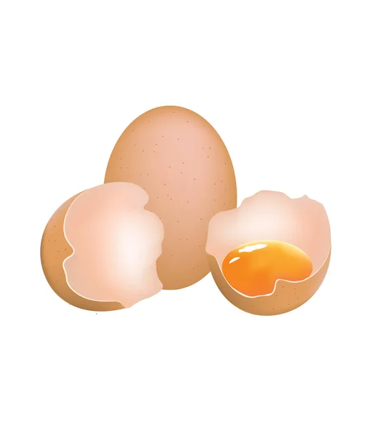 Broken egg with yolk — Stock Vector