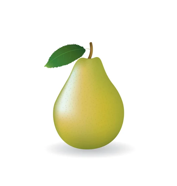 Pear on white background — Stock Vector
