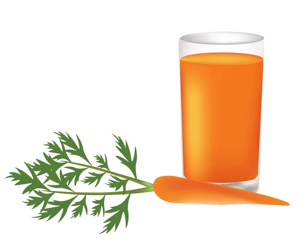 Zumo de zanahoria con una zanahoria fresca al lado del vaso — Vector de stock