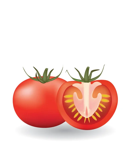 Satu tomat utuh dan satu potong - Stok Vektor