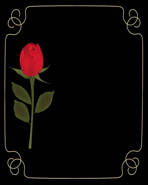Rudá růže na černém pozadí s zlatým rámem — Stockový vektor