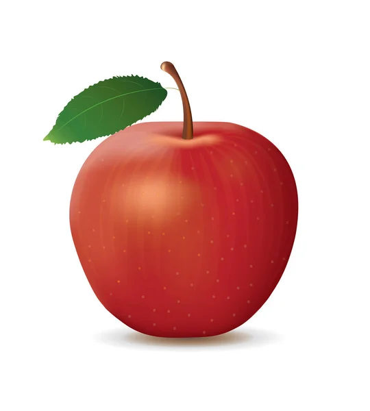 Realistischer roter Apfel — Stockvektor