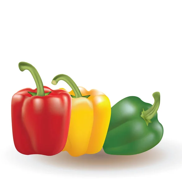 Piros, sárga és zöld paprika — Stock Vector