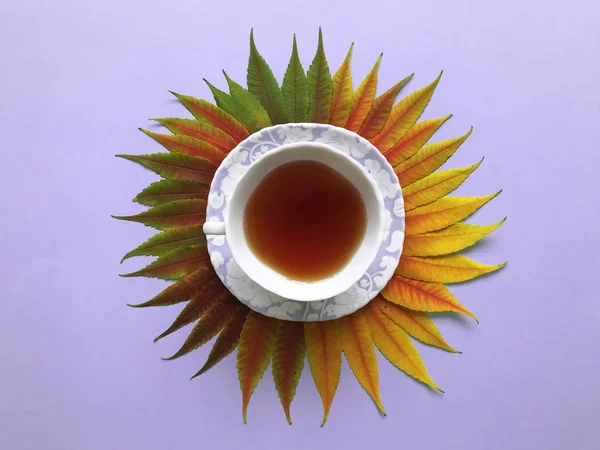 Творческая концепция красочных осенних листьев с чашкой чая. Плоский лежал. Вид сверху . — стоковое фото
