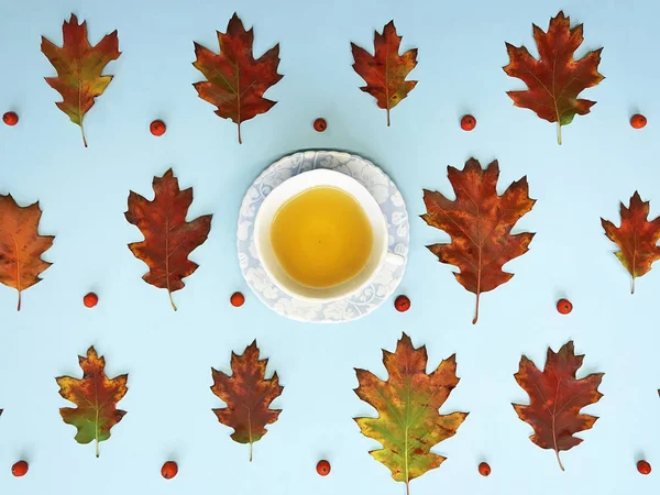 Осенний концептуальный образ - композиция с красными листьями, рябинами и чашкой чая. Плоский, вид сверху — стоковое фото
