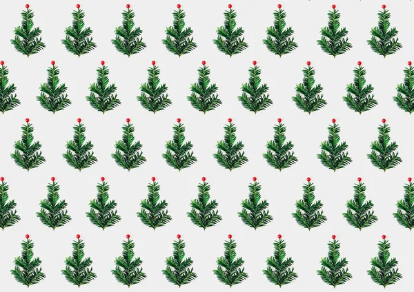 Christmas pattern. Seamless background with christmas tree made of branches design. New Year package design.