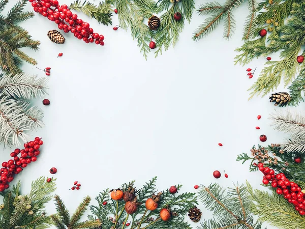 Winter Achtergrond Samenstelling Gemaakt Van Kerstmis Zilverspar Spar Thuja Boomtakken — Stockfoto