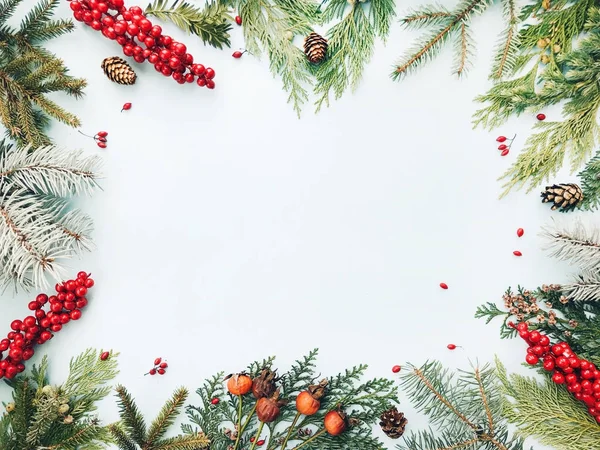 Kerstmis Achtergrond Floral Frame Gemaakt Van Kerstmis Zilverspar Spar Thuja — Stockfoto