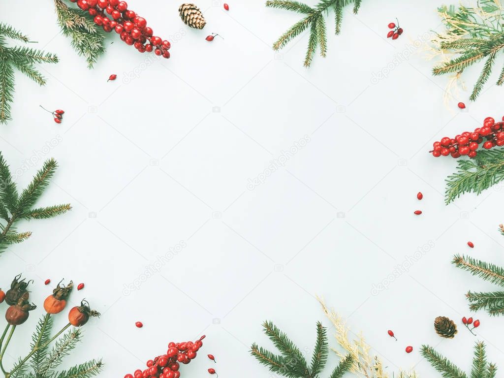 Christmas floral frame made of fir branches, red berries and pine cones. Christmas wallpaper. Flat lay, top view with copy space