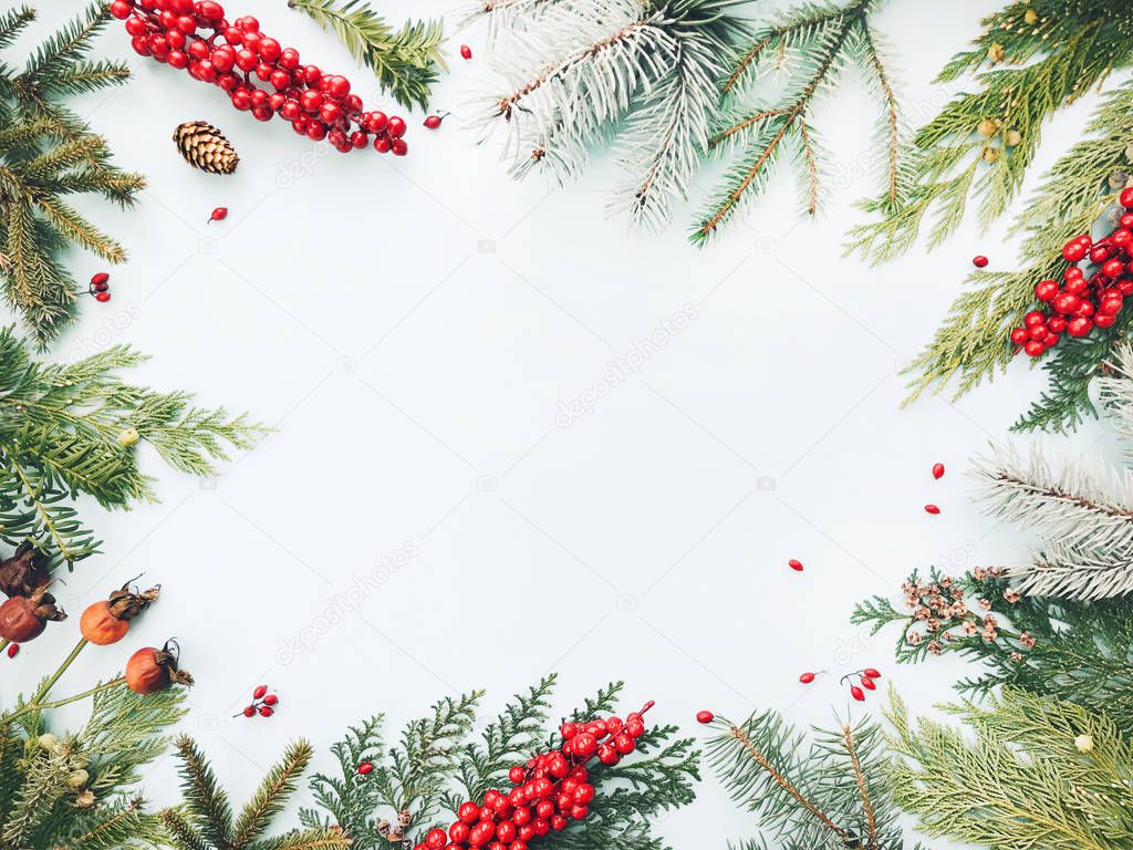 Winter background. Composition made of christmas fir, spruce, thuja tree branches, red berries, pine cones. Flat lay, top view, copy space. Concept for Christmas greeting card.