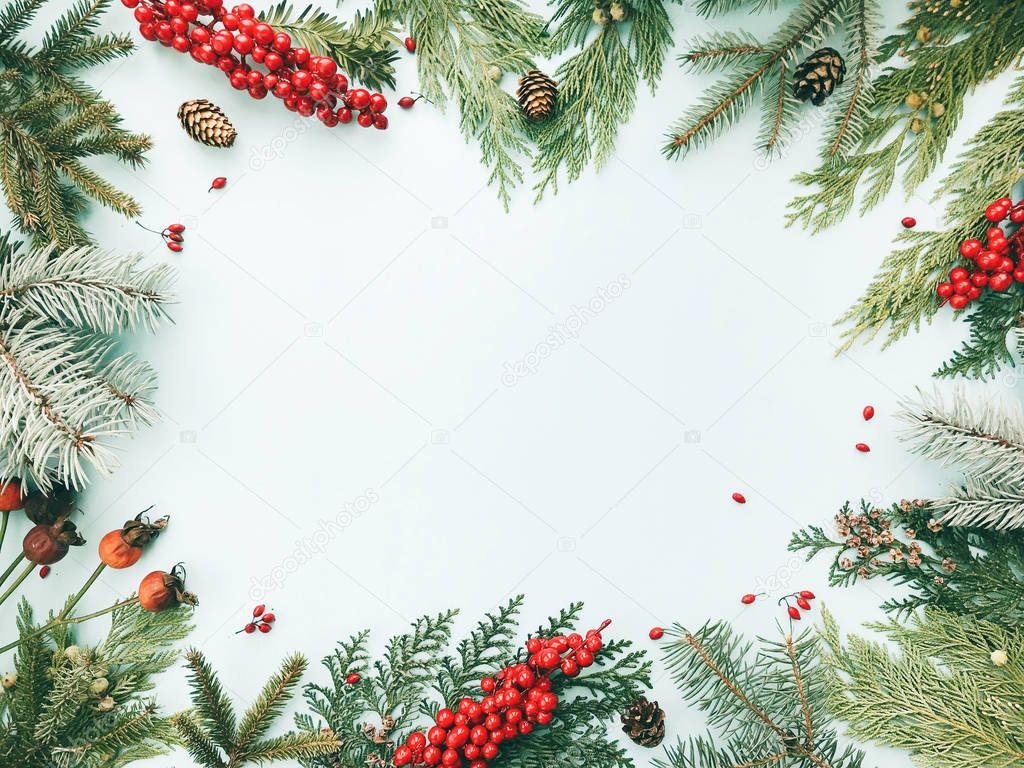 Christmas background. Frame made of christmas fir, spruce, thuja tree branches, red berries, pine cones. Flat lay, top view, copy space