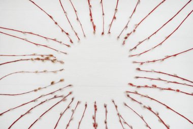 Kukum yuvarlak çerçeve. Beyaz ahşap arka plan bahar söğüt dallarında. Kopya alanı düz yatıyordu, en iyi Manzaralı. 