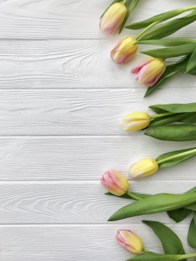 Çiçek bahar çerçeve kopya alanı ile. Güzel Lale çiçek düz beyaz ahşap zemin üzerinde yatıyordu
