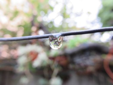 Çiy damlaları, bu makro fotoğraf farklı şekiller ve renkler arasındaki küçük bir damla suyun güzelliğini gösteriyor.