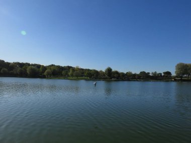Doğal Peyzaj, dağ yolları ve vahşi doğa arasında küçük bir ormanın ağaçları arasında doğal bir görünüm 
